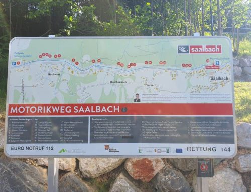 Motorikweg Saalbach: Hindernisparcours direkt gegenüber der Pension Norika