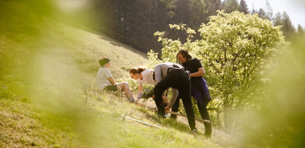 bauemen fuer morgen pension norika